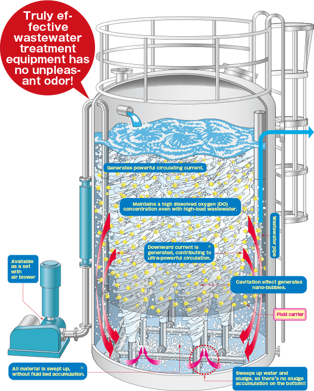 What causes an overloaded wastewater system?
