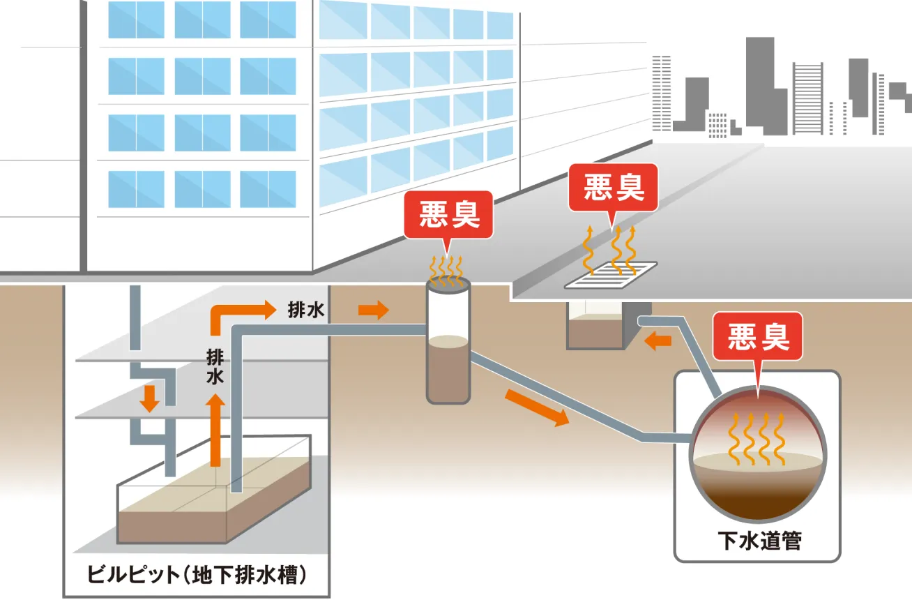 悪臭発生のメカニズム ほとんどのビルピットは、酸素不足で腐敗が進み、硫化水素が発生し、悪臭の発生だけでなく、躯体や下水道管のコンクリート劣化を起こしています。