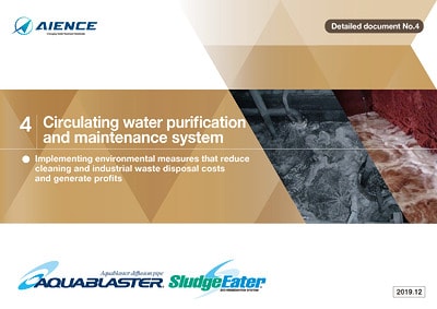 Circulating water purification and maintenance system
