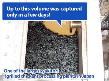 Up to this volume was captured only in a few days! One of the largest yakitori (grilled chicken) processing plants in Japan